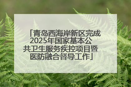 青岛西海岸新区完成2025年国家基本公共卫生服务疾控项目暨医防融合督导工作