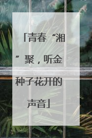 青春“湘”聚，听金种子花开的声音