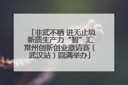 非武不栖 进无止境 新质生产力“智”汇常州创新创业邀请赛（武汉站）圆满举办