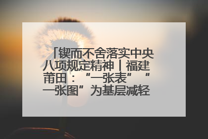 锲而不舍落实中央八项规定精神丨福建莆田：“一张表”“一张图”为基层减轻“数字负担”