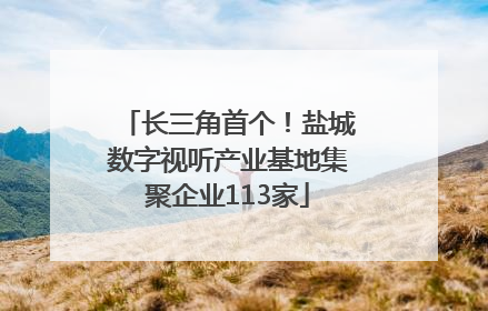 长三角首个！盐城数字视听产业基地集聚企业113家