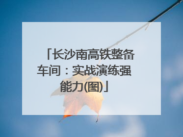 长沙南高铁整备车间：实战演练强能力(图)