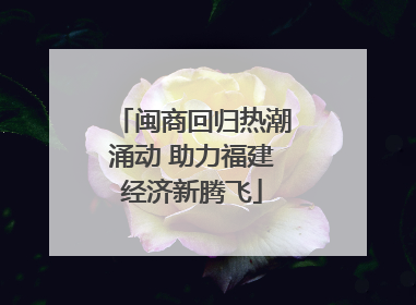 闽商回归热潮涌动 助力福建经济新腾飞