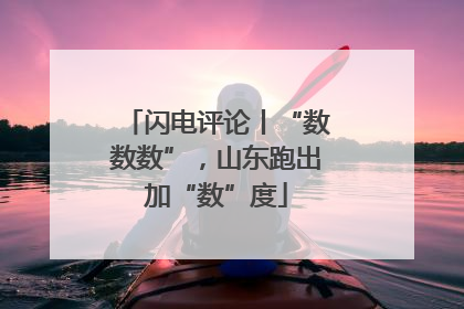 闪电评论丨“数数数”，山东跑出加“数”度