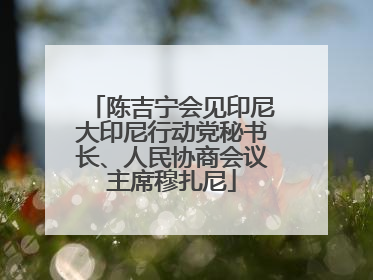 陈吉宁会见印尼大印尼行动党秘书长、人民协商会议主席穆扎尼
