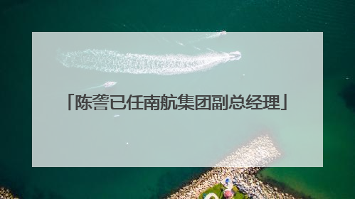 陈詟已任南航集团副总经理