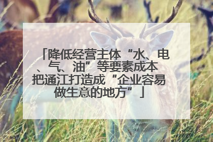 降低经营主体“水、电、气、油”等要素成本 把通江打造成“企业容易做生意的地方”