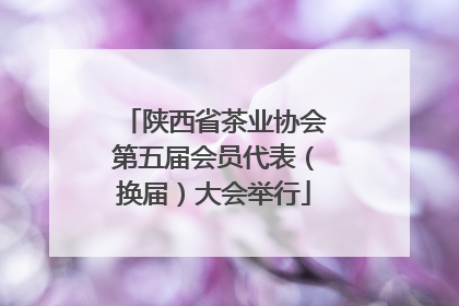 陕西省茶业协会第五届会员代表（换届）大会举行