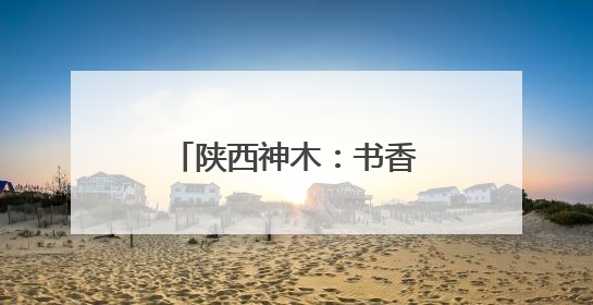 陕西神木：书香浸润城市肌理 阅读点亮美好生活