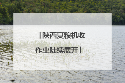 陕西夏粮机收作业陆续展开