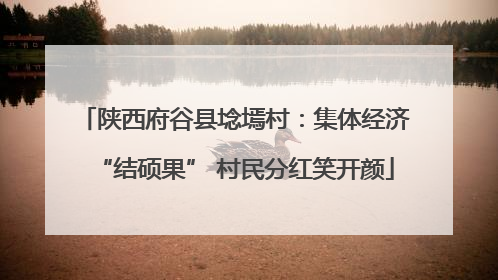 陕西府谷县埝墕村：集体经济“结硕果” 村民分红笑开颜