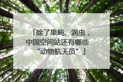 除了果蝇、涡虫，中国空间站还有哪些“动物航天员”