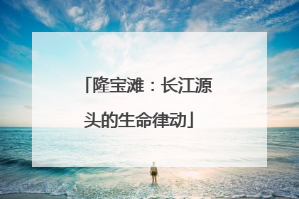 隆宝滩：长江源头的生命律动