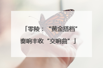 零陵：“黄金搭档”奏响丰收“交响曲”