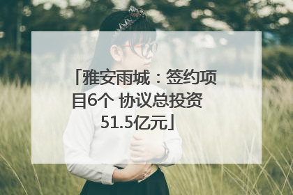 雅安雨城：签约项目6个 协议总投资51.5亿元