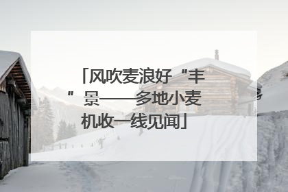 风吹麦浪好“丰”景——多地小麦机收一线见闻