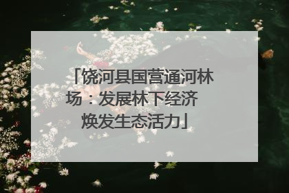饶河县国营通河林场：发展林下经济 焕发生态活力