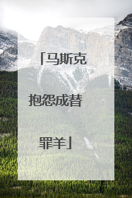 马斯克抱怨成替罪羊