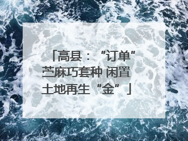 高县：“订单”苎麻巧套种 闲置土地再生“金”