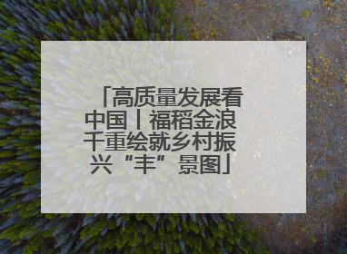 高质量发展看中国丨福稻金浪千重绘就乡村振兴“丰”景图