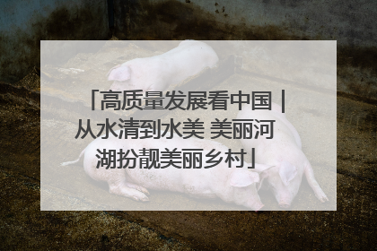 高质量发展看中国｜从水清到水美 美丽河湖扮靓美丽乡村