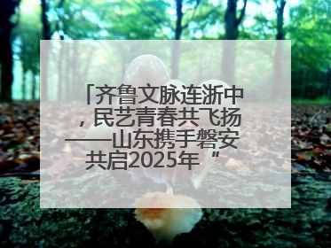 齐鲁文脉连浙中，民艺青春共飞扬——山东携手磐安共启2025年“文化和自然遗产日”系列活动