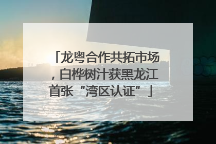 龙粤合作共拓市场，白桦树汁获黑龙江首张“湾区认证”