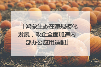 鸿蒙生态在津规模化发展，政企全面加速内部办公应用适配