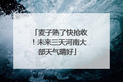 麦子熟了快抢收！未来三天河南大部天气晴好