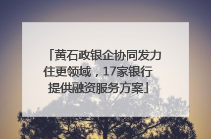 黄石政银企协同发力住更领域，17家银行提供融资服务方案