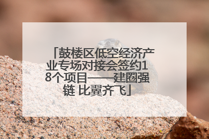 鼓楼区低空经济产业专场对接会签约18个项目——建圈强链 比翼齐飞