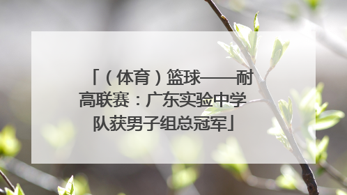 （体育）篮球——耐高联赛：广东实验中学队获男子组总冠军