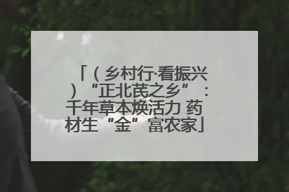 （乡村行·看振兴）“正北芪之乡”：千年草本焕活力 药材生“金”富农家