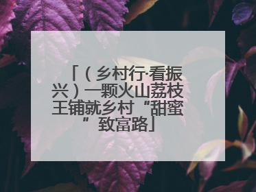（乡村行·看振兴）一颗火山荔枝王铺就乡村“甜蜜”致富路