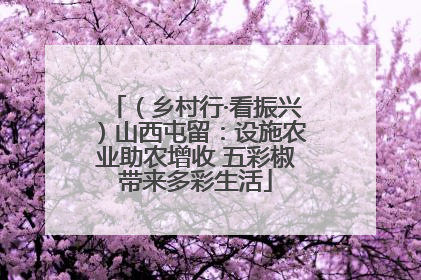 （乡村行·看振兴）山西屯留：设施农业助农增收 五彩椒带来多彩生活