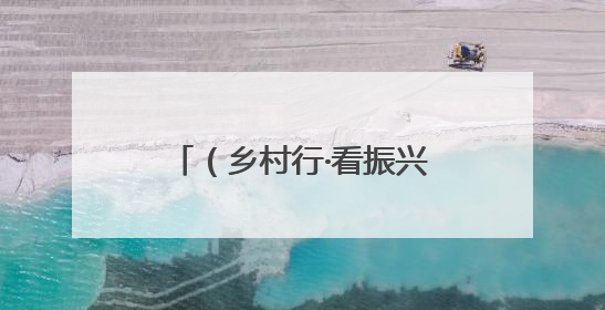 （乡村行·看振兴）江西彭泽千亩黄花菜丰收 金色乡村孕育致富新希望