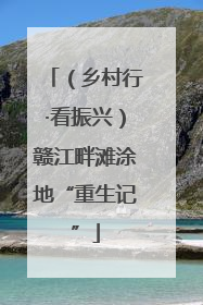 （乡村行·看振兴）赣江畔滩涂地“重生记”