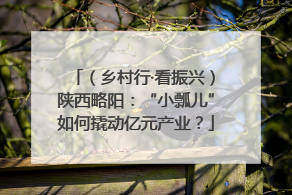 （乡村行·看振兴）陕西略阳：“小瓢儿”如何撬动亿元产业？