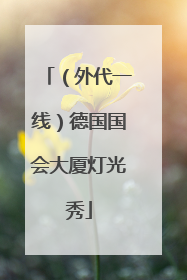 （外代一线）德国国会大厦灯光秀