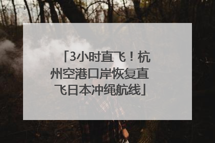 3小时直飞！杭州空港口岸恢复直飞日本冲绳航线