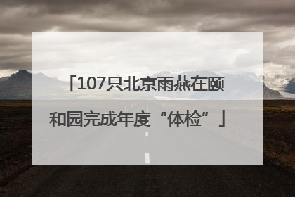 107只北京雨燕在颐和园完成年度“体检”