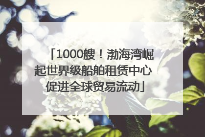 1000艘！渤海湾崛起世界级船舶租赁中心 促进全球贸易流动