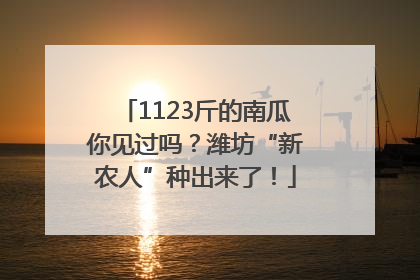 1123斤的南瓜你见过吗？潍坊“新农人”种出来了！