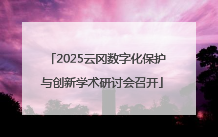 2025云冈数字化保护与创新学术研讨会召开