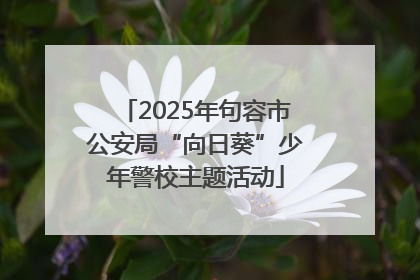 2025年句容市公安局“向日葵”少年警校主题活动
