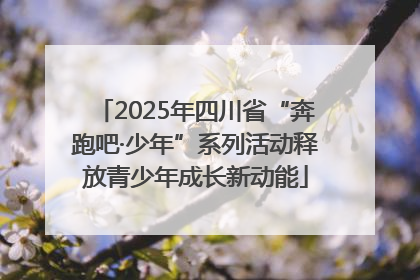 2025年四川省“奔跑吧·少年”系列活动释放青少年成长新动能