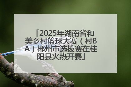 2025年湖南省和美乡村篮球大赛（村BA）郴州市选拔赛在桂阳县火热开赛