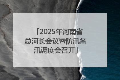 2025年河南省总河长会议暨防汛备汛调度会召开