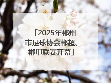 2025年郴州市足球协会郴超、郴甲联赛开幕