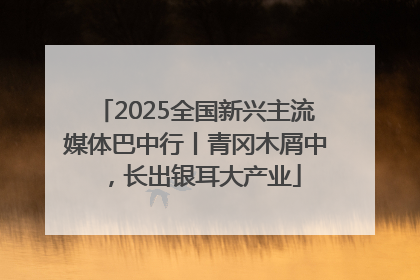 2025全国新兴主流媒体巴中行丨青冈木屑中，长出银耳大产业